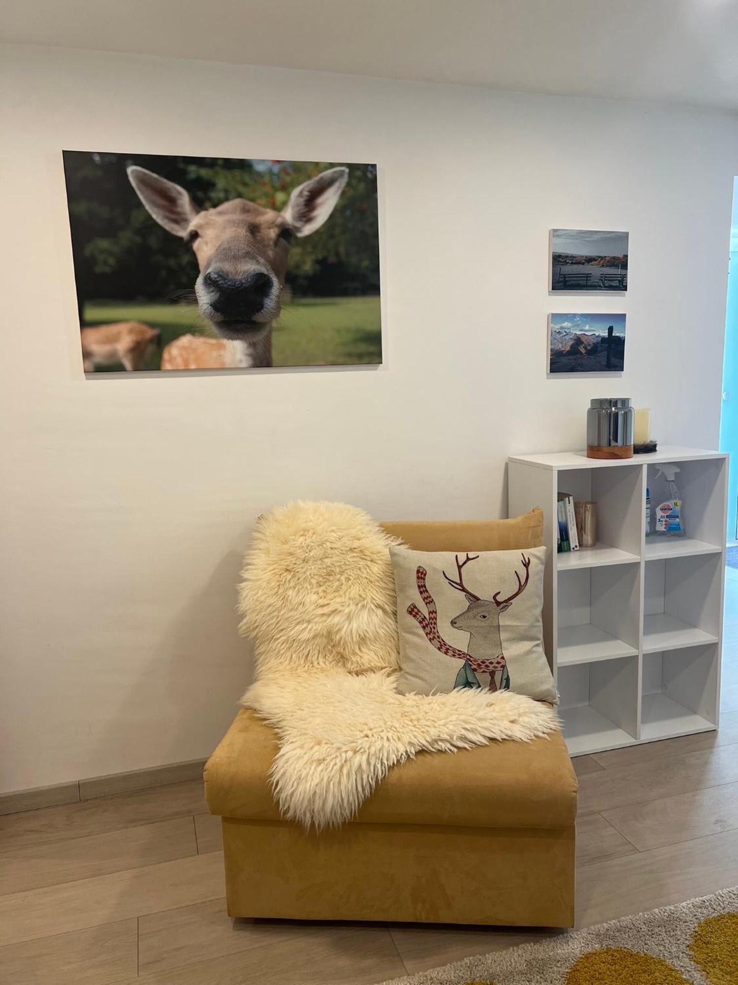 Schwarzwald Boutique-Apartment Haus Rehgarten กากเกเนา ภายนอก รูปภาพ
